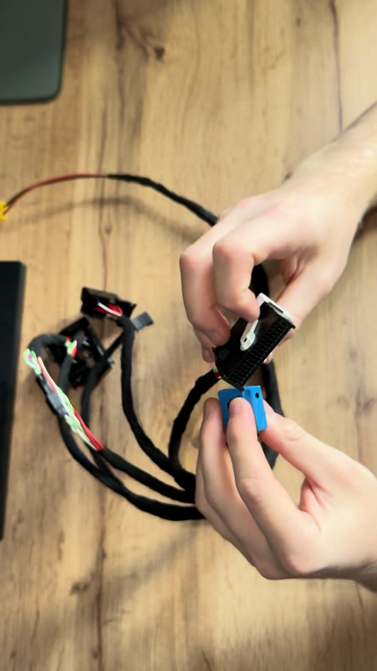 BMW test bench harness