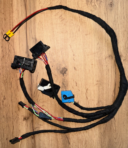 BMW test bench harness